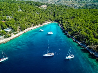 Yachts moored in a bay